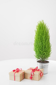 小绿树和红丝带礼物