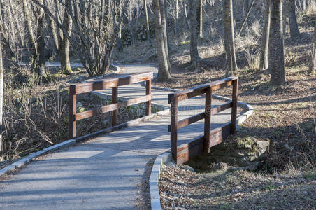 有桥道路