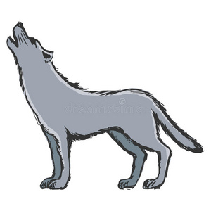 狼插画