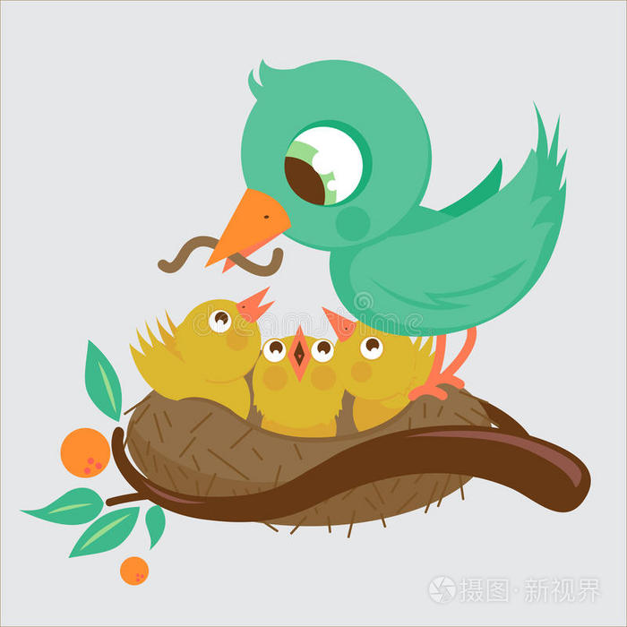 里的小鸟小鹅巢中的雏鸟栖息在树枝上的小麻雀小麻雀和小狗雏鸟啄木