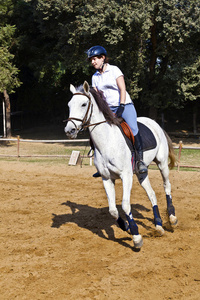 女骑手训练马