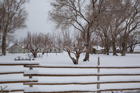 美国内华达州公园第一场雪