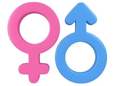 男性和女性标志的三维图解。