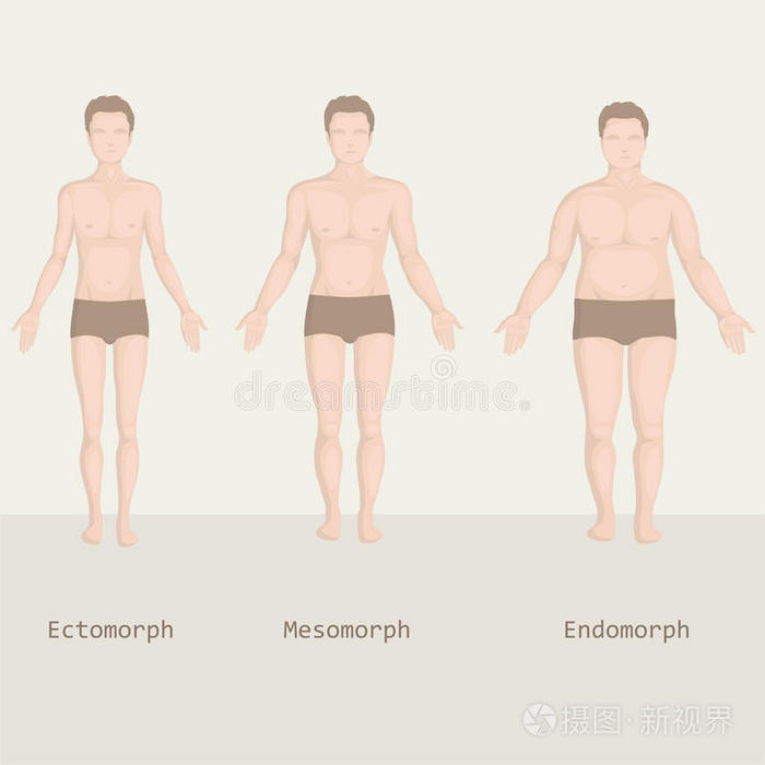 男人的体型从肥胖到健康