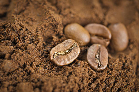 磨碎的咖啡豆