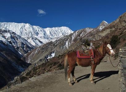 候马与提利丘峰照片
