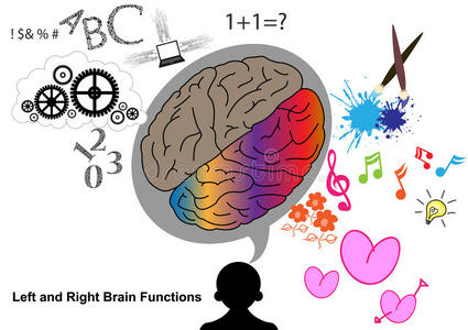 左右脑旋转图图片