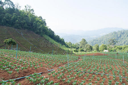 山区农业区