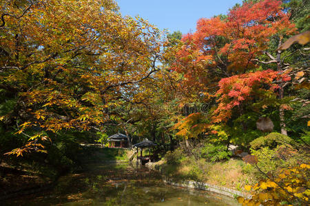 碧原秘密花园建于1623年以后