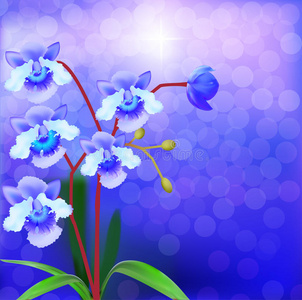 明亮背景上的紫灌木兰花图片