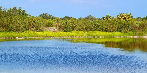 生态池塘大沼泽国家公园