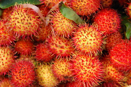 亚洲水果红毛丹