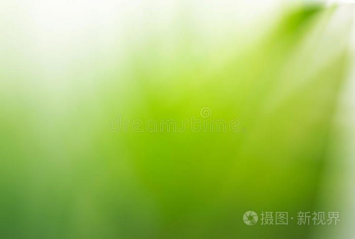 抽象的浅绿色白色背景抽象设计