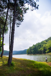 绿树成林，湖光山色