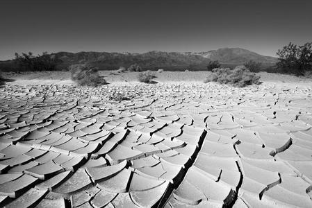 沙漠中的干土
