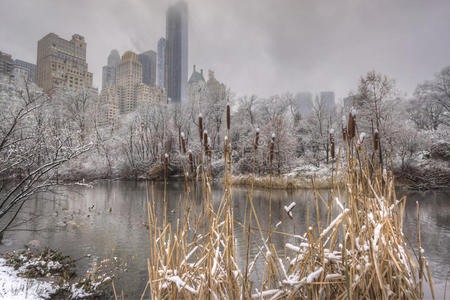 纽约中央公园暴风雪图片