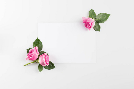 粉红玫瑰和空白卡