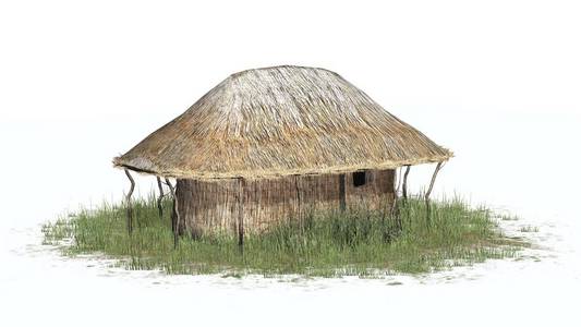 茅屋建筑白色背景下草中的茅屋照片