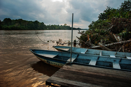 马来西亚沙巴婆罗洲 kinabatangan 河。树木水和船只的夜景