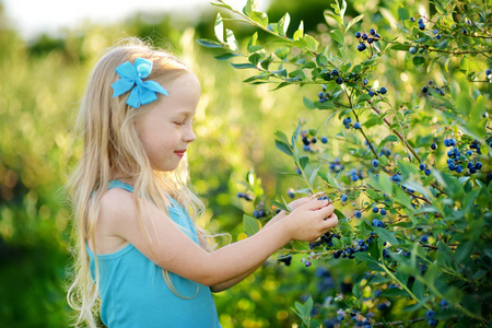 小女孩在农场采摘浆果