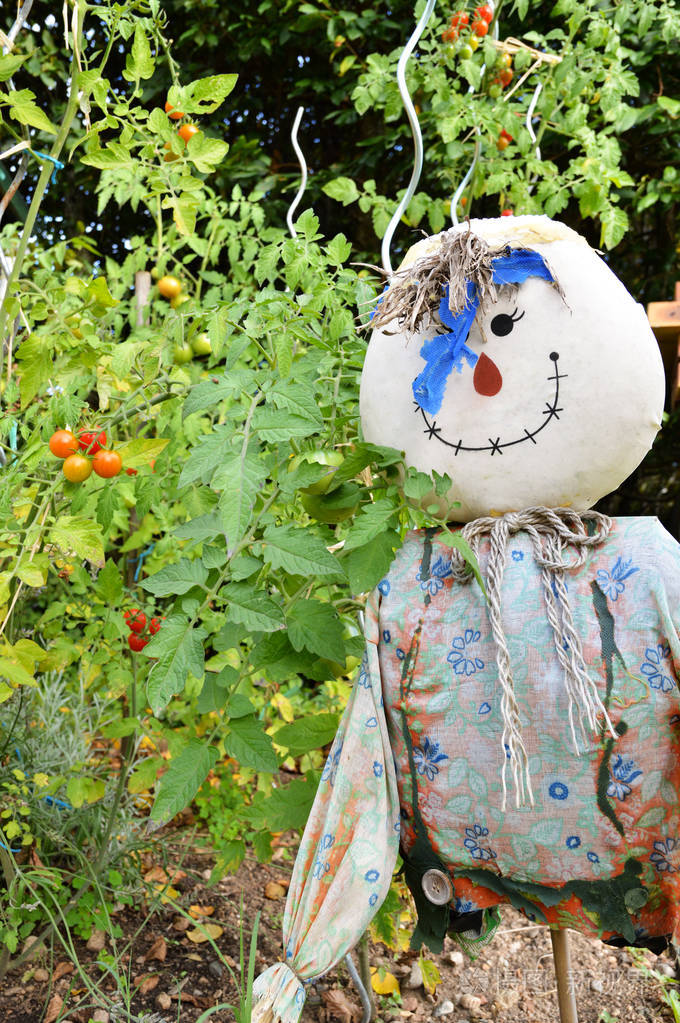 有稻草人的菜园