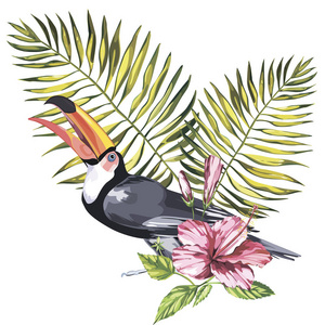 巨嘴鸟热带花卉和叶子。设计的邀请 电影海报 织物和其他对象的元素。孤立对白色