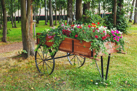 花坛形状像一个木制的手推车。花园装饰与佩图尼