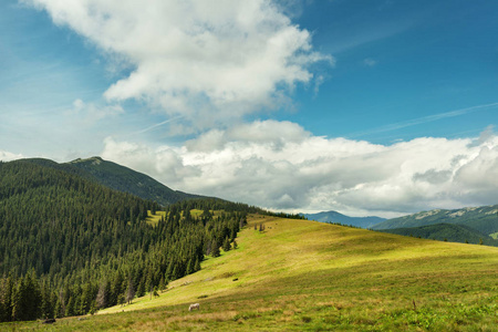 在喀尔巴阡山脉和蓝色的天空和云彩的夏日风景