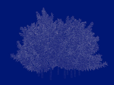 3d 渲染的空心树蓝图上孤立的蓝色背