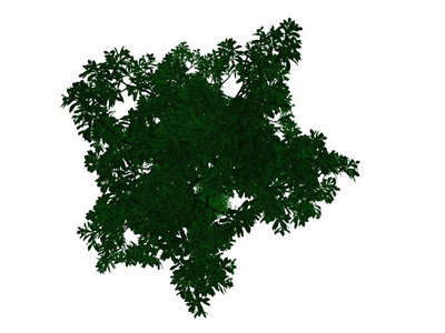 3d 渲染的孤立的绿色四边概述红黑树