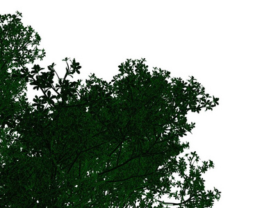 3d 渲染的孤立的绿色四边概述红黑树