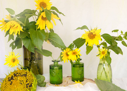 花向日葵在花瓶在木桌成熟向日葵, w