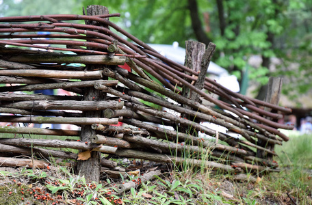 柳条篱笆在村里的树枝上.
