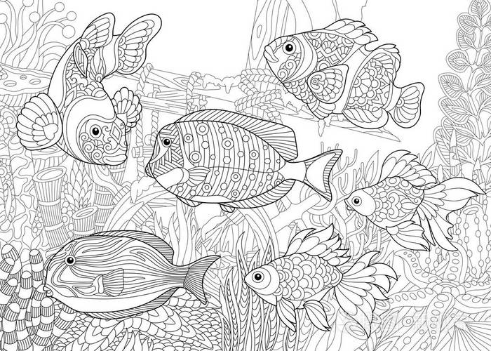 zentangle 程式化的海底世界插画-正版商用图片0z5xfg-摄图新视界