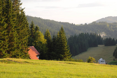 与绿色的森林，湛蓝色的云彩和草甸高山 Tatra 景观