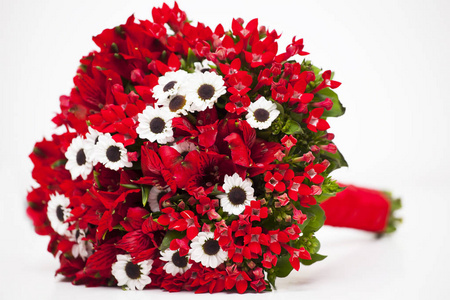 红色和白色的花朵