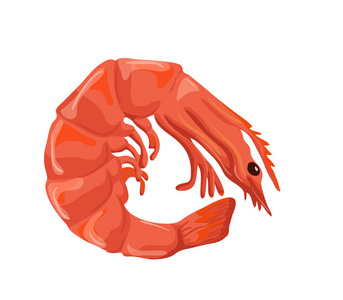 虾矢量图标分离，手的虾 海鲜菜单 健康的饮食饮食信息图表 贴纸 海报 包模板的素描画
