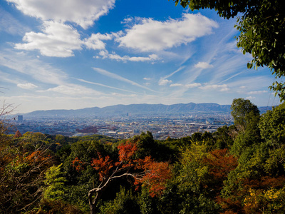 从京都秋天季节赏花公园景观的美景