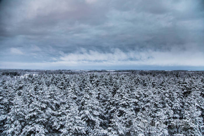 一个美丽的冬天风景在北欧在灰色阴沉沉的一天