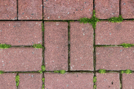 铺的人行道图片-铺的人行道素材-铺的人行道插画-摄图新视界