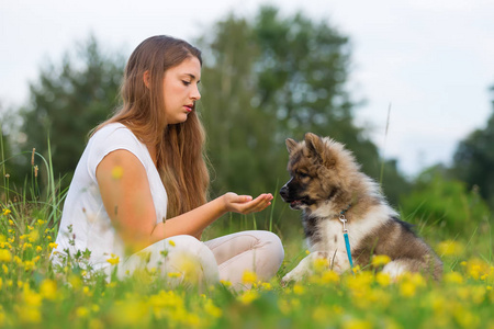 女人玩弄她的拉布拉多猎犬在湖