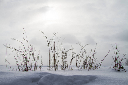一个美丽的冬天风景在北欧，在灰色，阴沉沉的一天