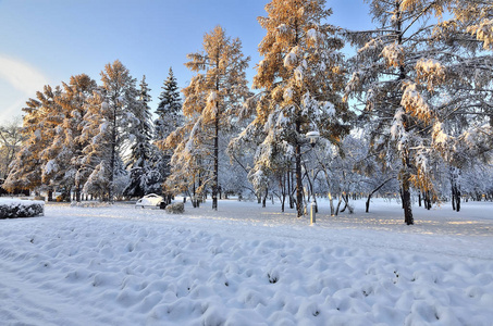 城市公园胡同后的第一次降雪