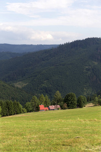清除从夏天在北东波西米亚，捷克共和国的山基迪绿色乡村