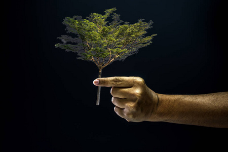手捏手指给一棵树