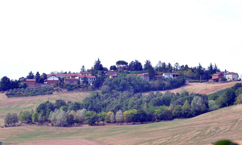 乡村景观。Monferrato，意大利皮埃蒙特