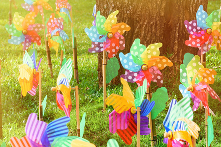 色彩缤纷的风车玩具在花园里。泰国