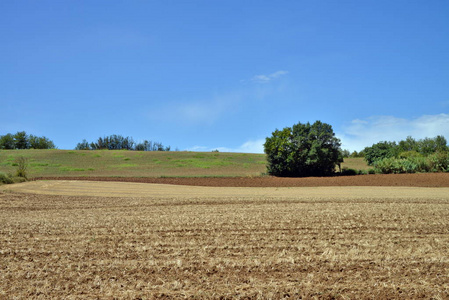 乡村景观。Monferrato，意大利皮埃蒙特