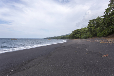 tangkoko 公园黑砂