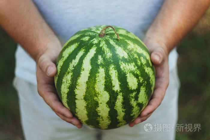 一名年轻男子正在举行一个完整的西瓜。健康的概念